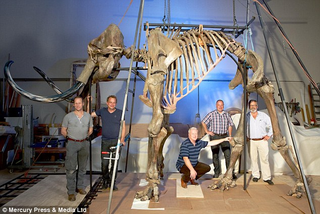 Illustration for article titled Complete Woolly Mammoth Skeleton Found In The North Sea